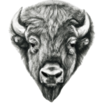 Bison Fire Places - Custom Fireplaces, Outdoor Fire Pits, Chimney and Fireplace Repair